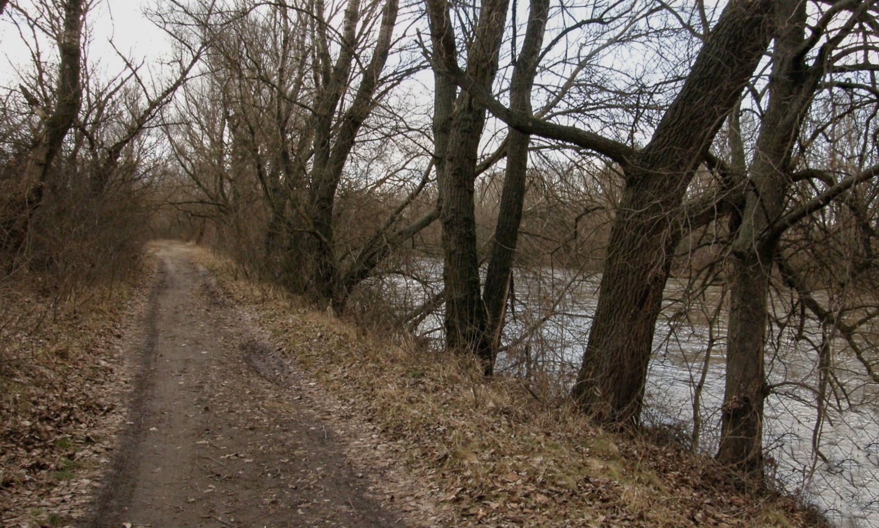 Hron v Novom Tekove. Kompa. (r.2009/OlympusSP560UZ)
