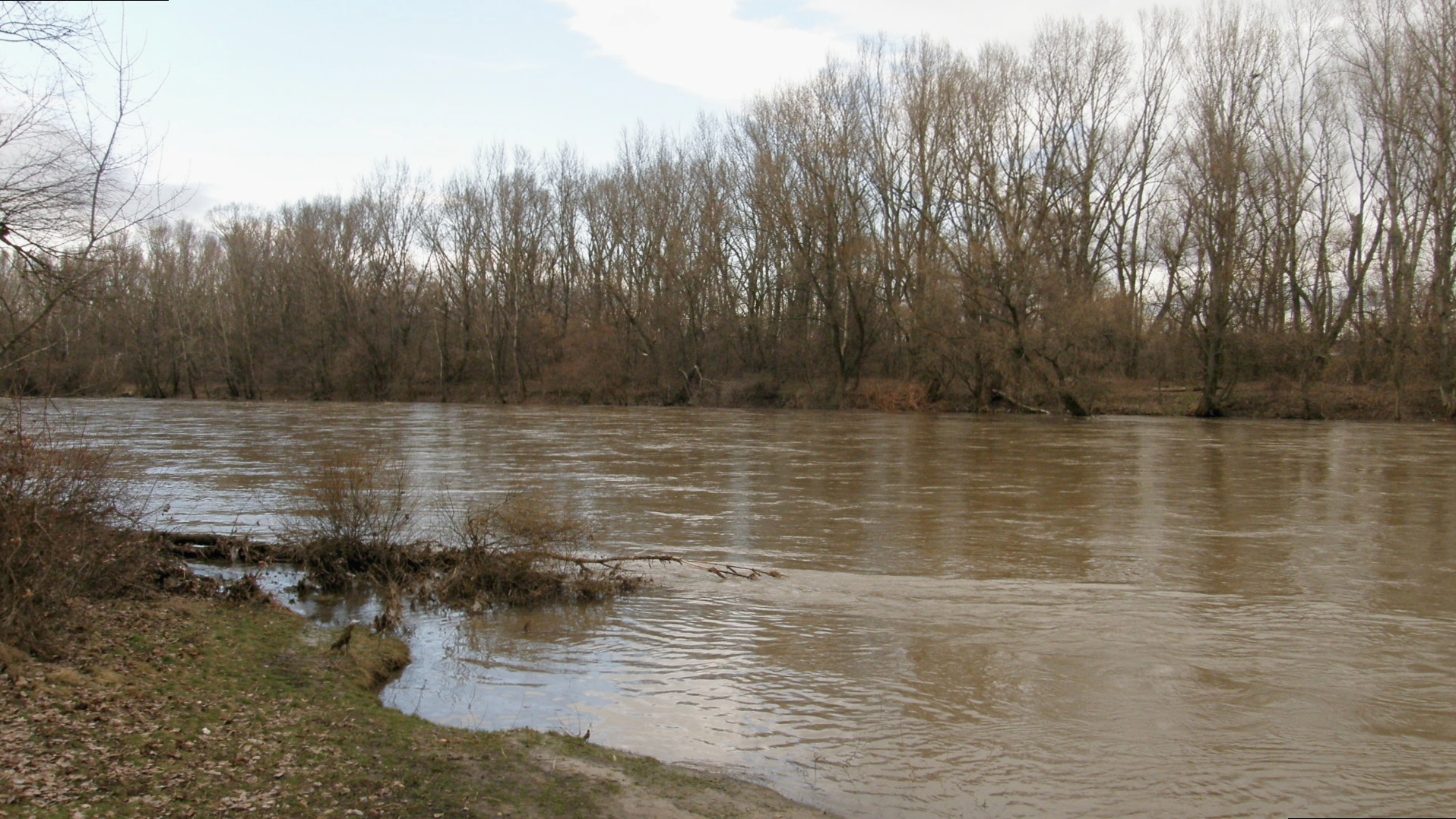 Hron v Novom Tekove. Kompa. (r.2009/OlympusSP560UZ)