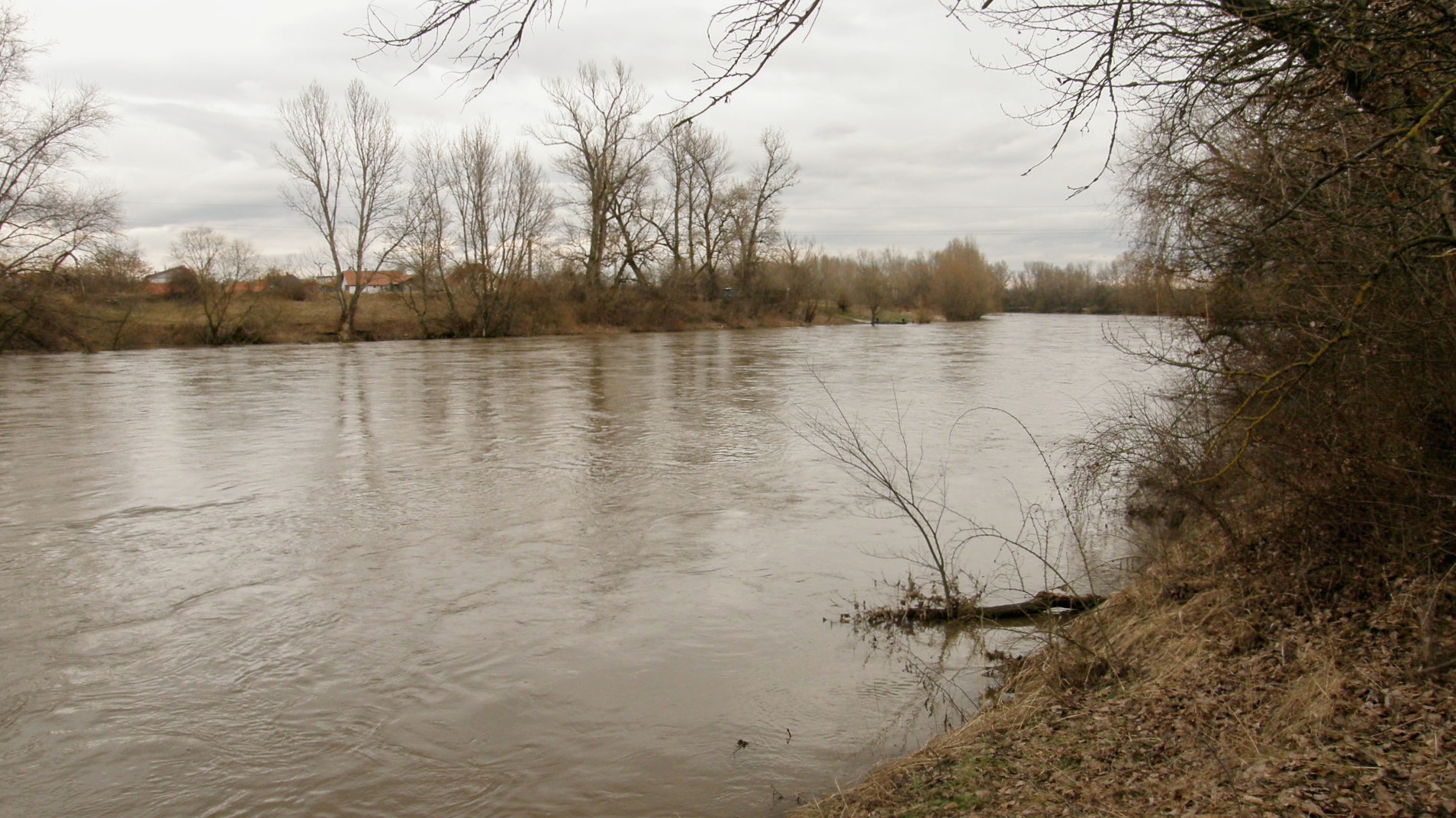 Hron v Novom Tekove. Kompa. (r.2009/OlympusSP560UZ)