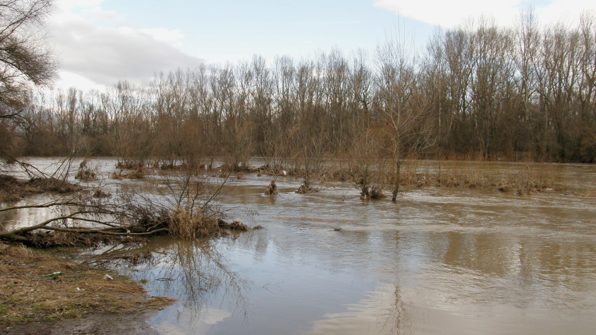 Hron v Novom Tekove. Kompa. (r.2009/OlympusSP560UZ)