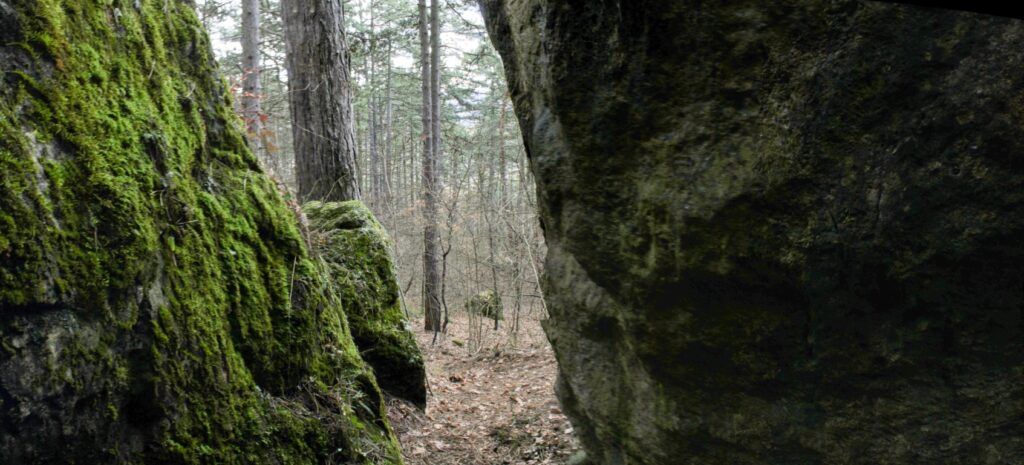 Levasovský štál. Jaskyňa Kamenec. Pohľad z jaskyne. (r.2021/Canonsp.)