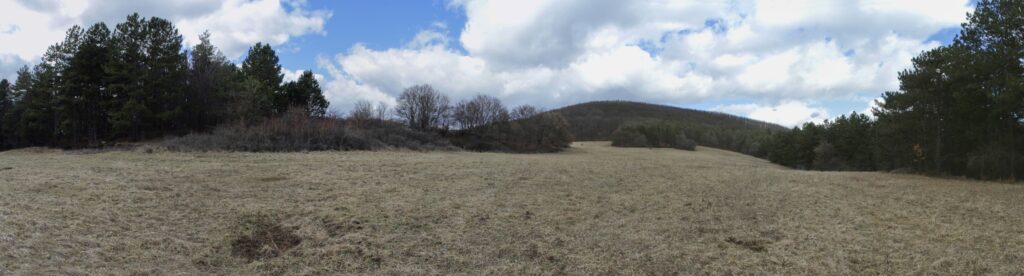 Levasovský štál. Lúka nad štálom. (r.2021/Canonsp.)