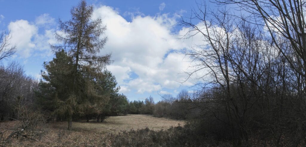 Kamenec. Smrekovec. (r.2021/Canonsp.)