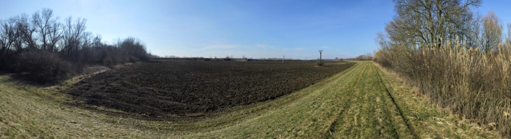 Spodné lúky. Dolné Ponitrie. (r.2021/Canonsp.)