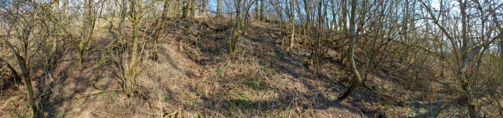 Zemný hrad. Archeologická lokalita. (r.2021/Canonsp.)