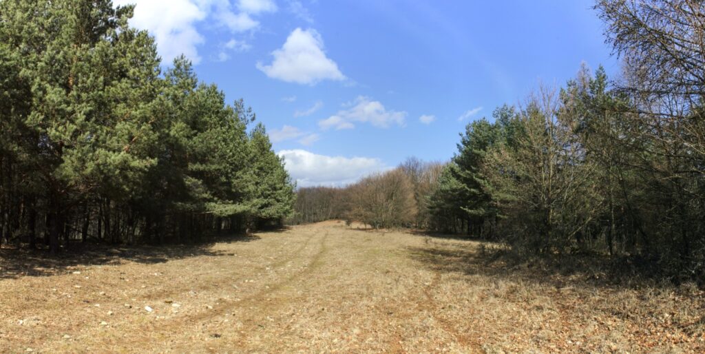 Kamenec. Cesta lúkov Vrchlom. (r.2021/Canonsp.)