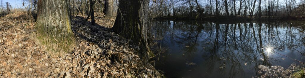 Červený piesok. Rameno Čierna voda. (r.2021/Canonsp.)