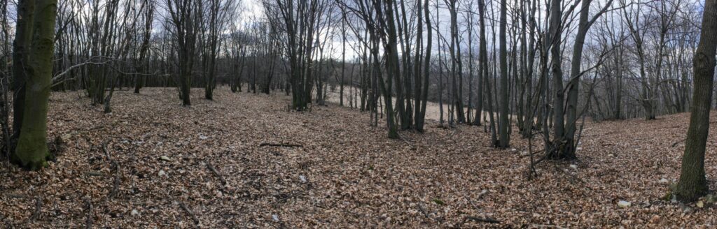 Kamenec. Hora. (r.2021/Canonsp.)