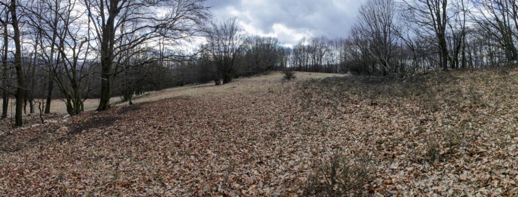 Kamenec. Hrebeň Vrchlom. (r.2021/Canonsp.)