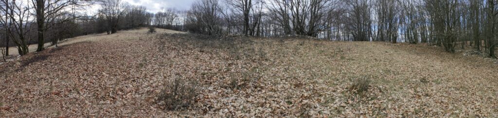 Kamenec. Vrchlom. (r.2021/Canonsp.)