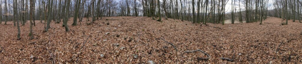 Kamenec. Vrchol. (r.2021/Canonsp.)