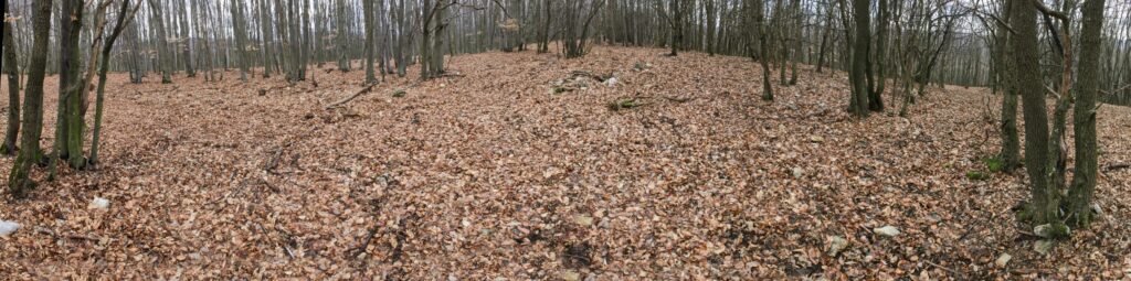 Vrchol vrchu Kamenec. (r.2021/Canonsp.)