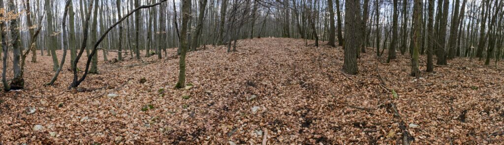 Kamenec. Vrchol. (r.2021/Canonsp.)