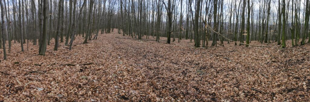 Kamenec. Cesta vrcholom vrchu. (r.2021/Canonsp.)