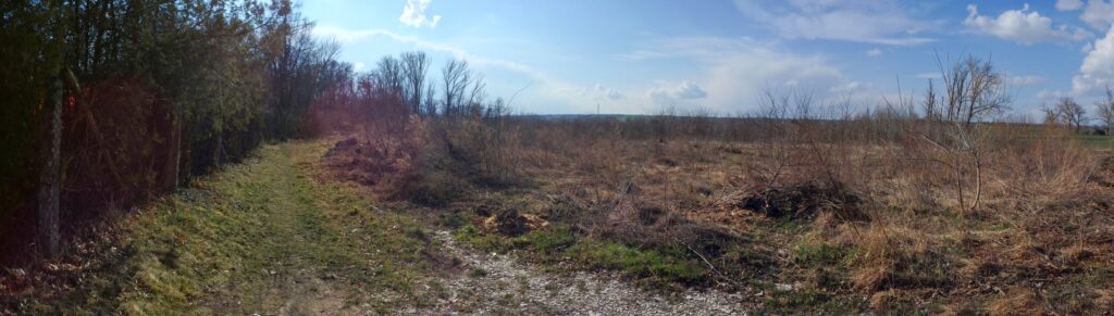 Park Žitavce. Hranica s poľom. (r.2021/Canonsp.)