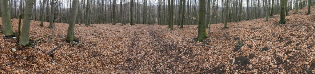 Kamenec. Cesta z vrchola. (r.2021/Canonsp.)