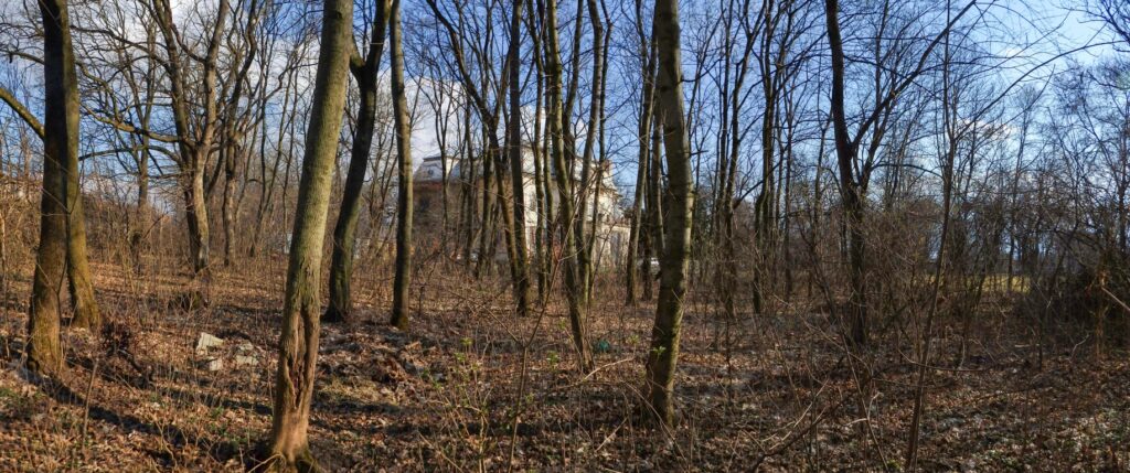 Park Žitavce. Kaštiel. (r.2021/Canonsp.)