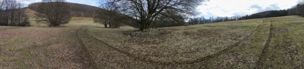 Kamenec. Lúka medzi Brezovým vrchom a Kamencom. (r.2021/Canonsp.)