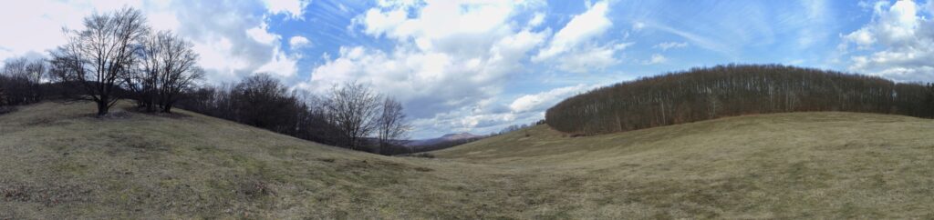 Kamenec. Pohľad na vrch 630 pod Brzovým vrchom. (r.2021/Canonsp.)