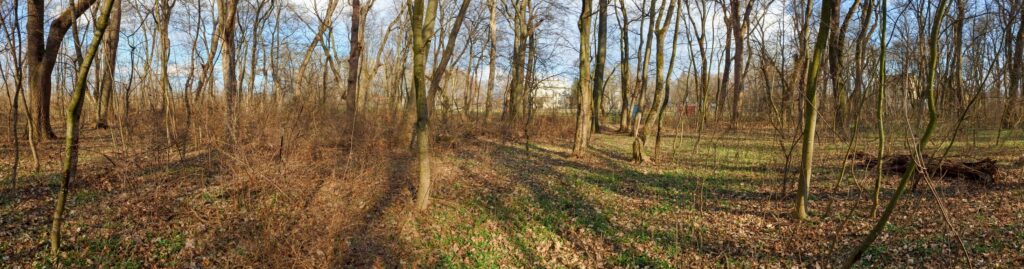 Park Žitavce. Lesopark. (r.2021/Canonsp.)
