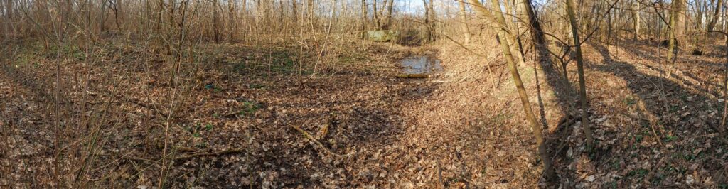 Park Žitavce. V lesoparku. (r.2021/Canonsp.)
