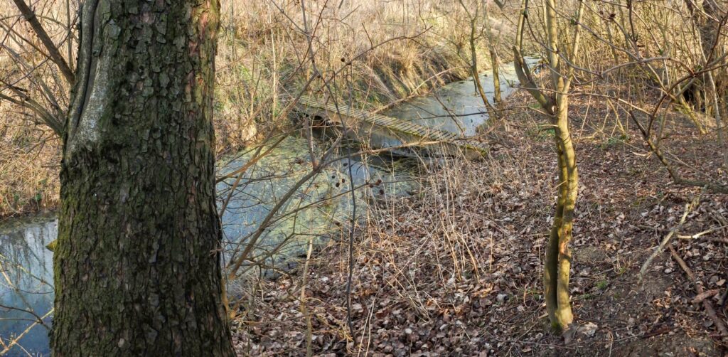 Park Žitavce. Most cez Martinovsko-maniansky kanál. (r.2021/Canonsp.)