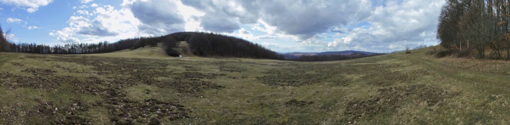 Kamenec. Pohľad z lúky na Kamenec. (r.2021/Canonsp.)