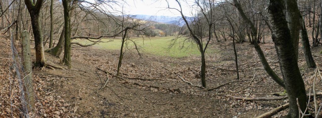 Kamenec. Nemčeky. (r.2021/Canonsp.)