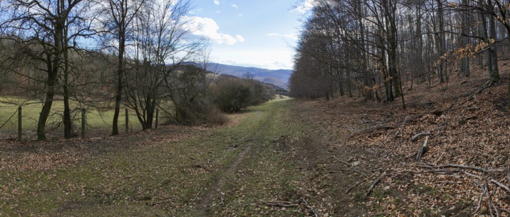 Kamenec. Vstup na Nemčeky od Brezovho vrchu. (r.2021/Canonsp.)