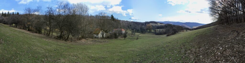 Kamenec. Nemčeky. (r.2021/Canonsp.)