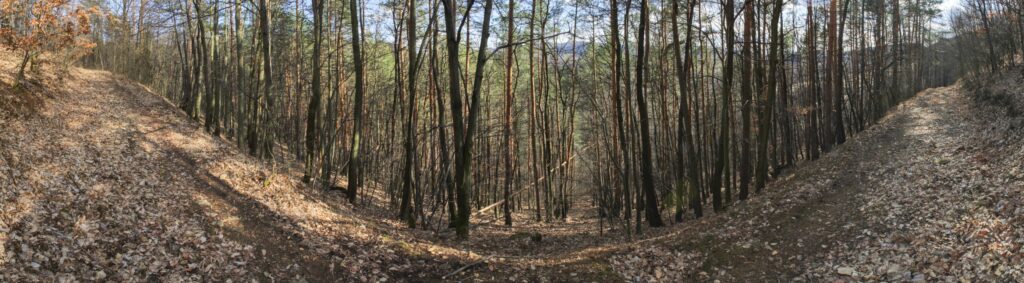 Kamenec. Východné svahy. (r.2021/Canonsp.)