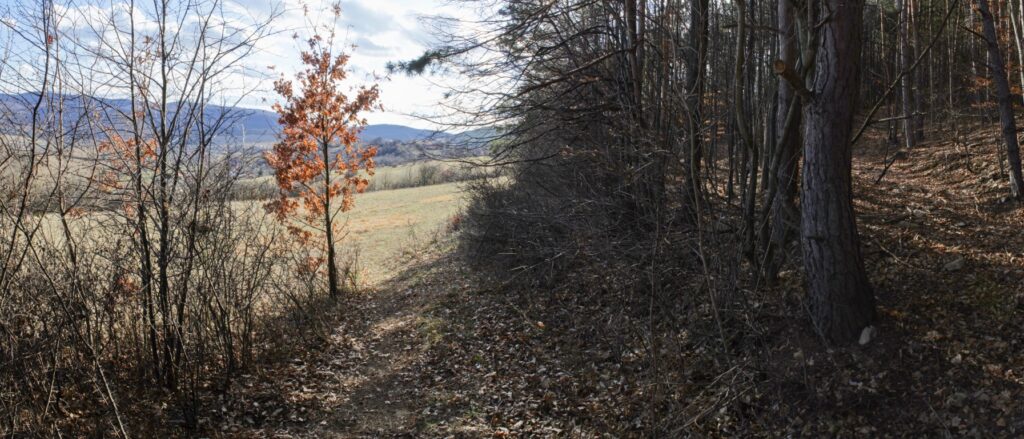 Kamenec. Nad Bošiakovým štálom. (r.2021/Canonsp.)