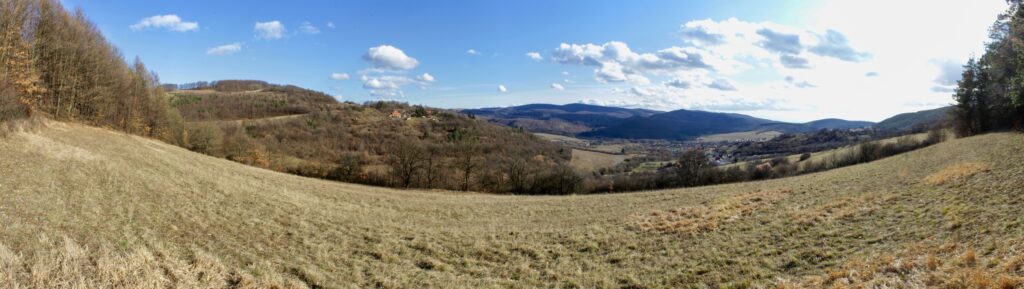 Kamenec. Lúky nad Bošiakovým štálom. (r.2021/Canonsp.)
