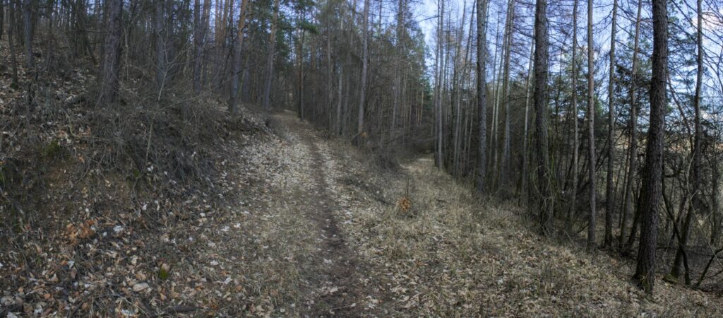 Kamenec. Cesty na južných svahoch. (r.2021/Canonsp.)