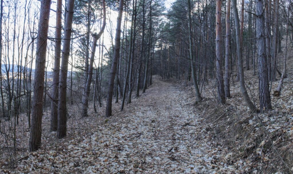 Kamenec. Cesta južným svahom. (r.2021/Canonsp.)