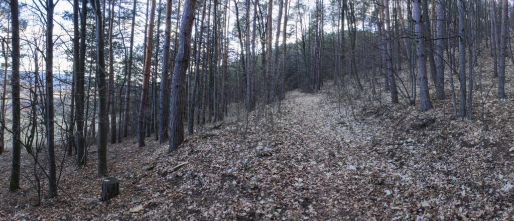 Kamenec. Cesta cez južné úbočie. (r.2021/Canonsp.)