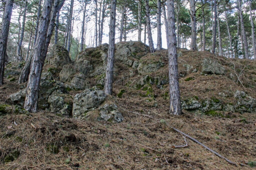 Levasovský štál. Skalnatý vrcholček. (r.2021/Canonsp.)