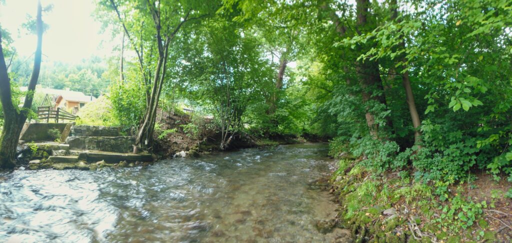 Riečka Bystrica. Pri záhradách. (r.2021/OlympusSP810UZ)