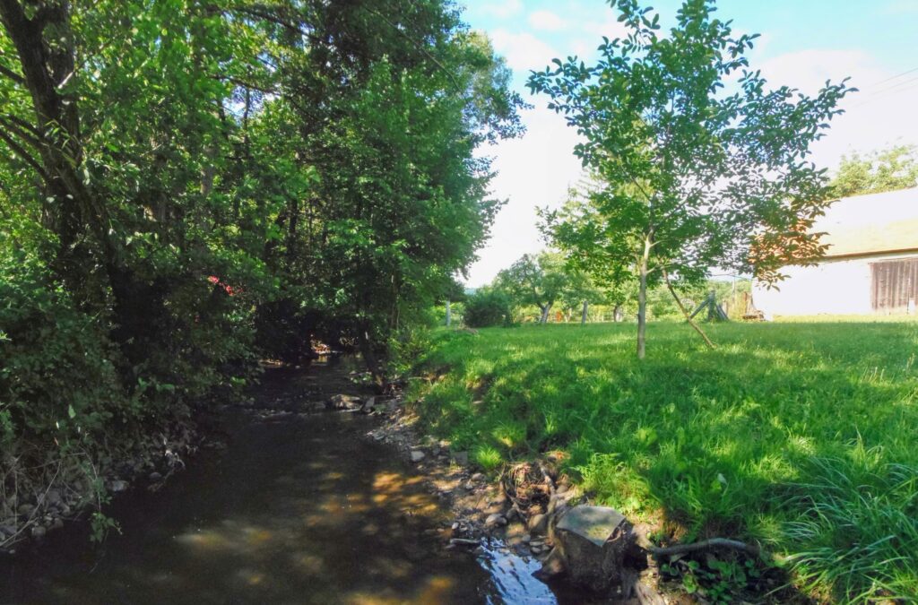 Horná Žitava. Pritková. Pri mlyne na začiatku obce. (r.2021/OlympusSP810UZ)