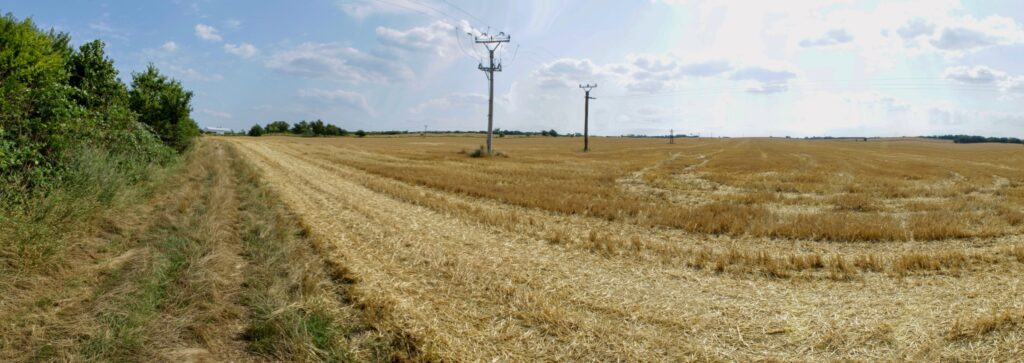 Starý háj. Po žatve. (r.2021/Canonsp.)