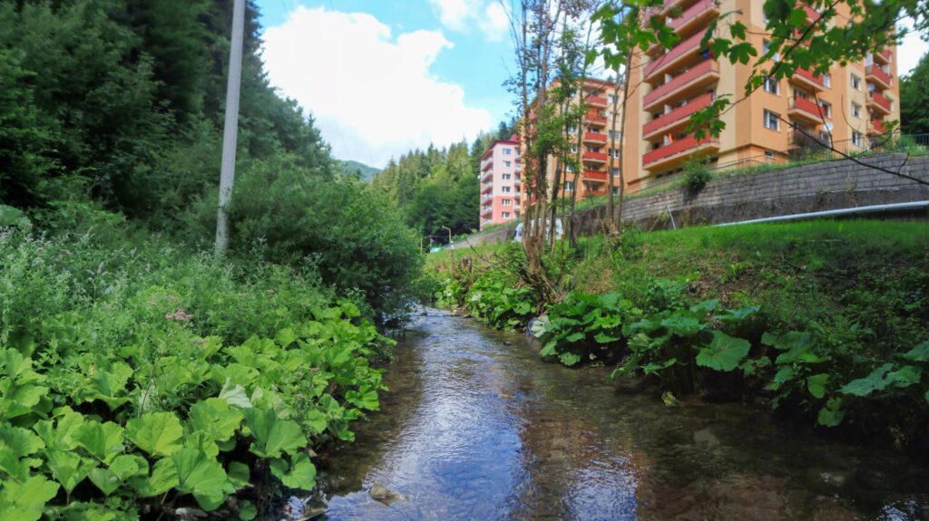 Bystrica. Uhliská. Pri panelákoch. (r.2021/OlympusSP810UZ)