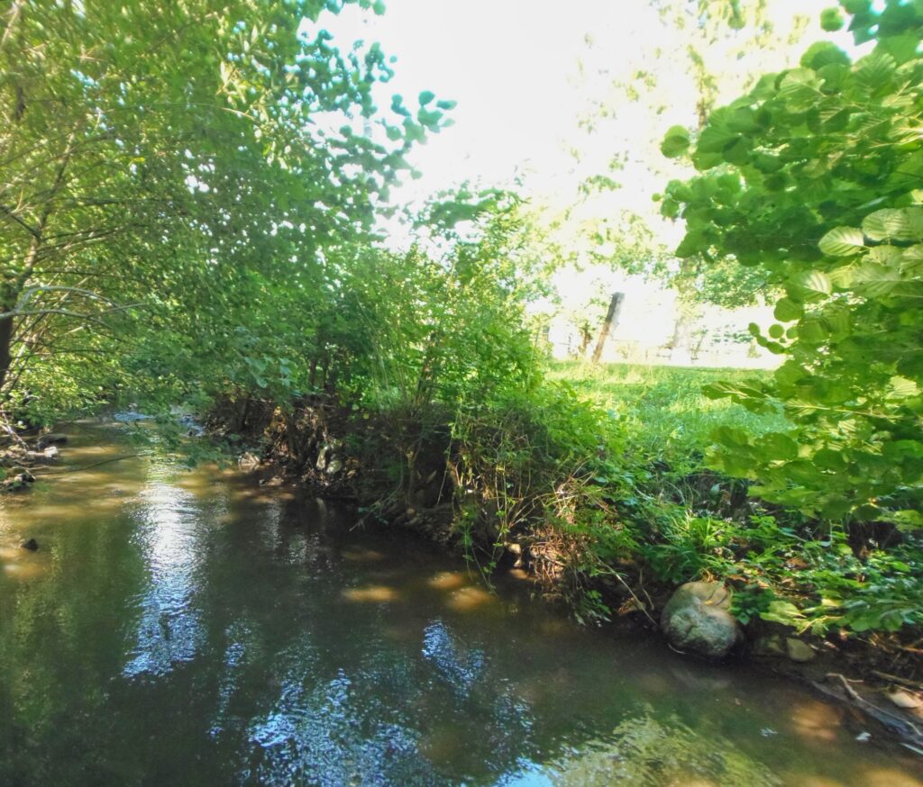 Horná Žitava. Pritková. Koryto riečky. (r.2021/OlympusSP810UZ)