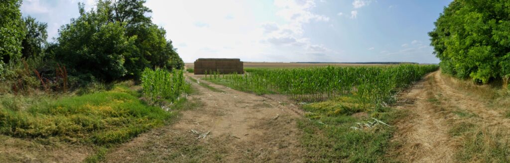 Starý háj. Stoh. (r.2021/Canonsp.)
