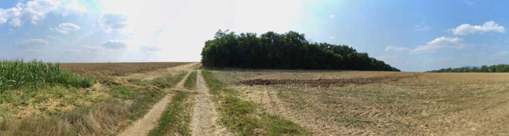 Bučáň. Cesta k lesu. (r.2021/Canonsp.)