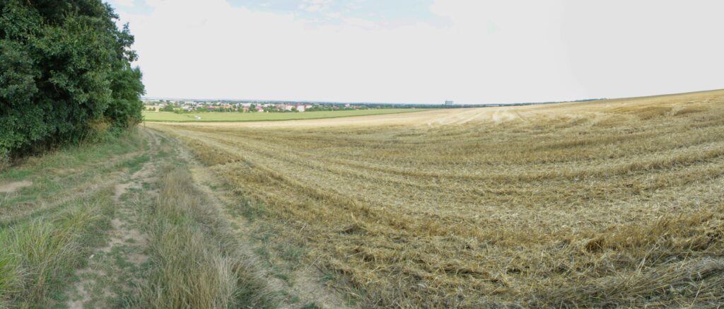 Bučáň. Výhľad od lesa na Ivanku pri Nitre. (r.2021/Canonsp.)