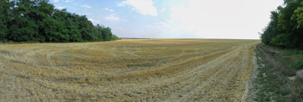 Lieština. Po žatve. (r.2021/Canonsp.)