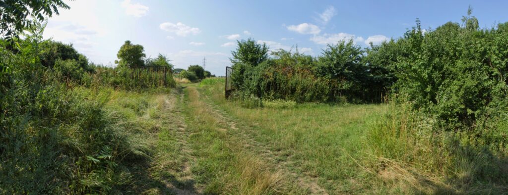Lieština. Otvorená brána do viníc. (r.2021/Canonsp.)