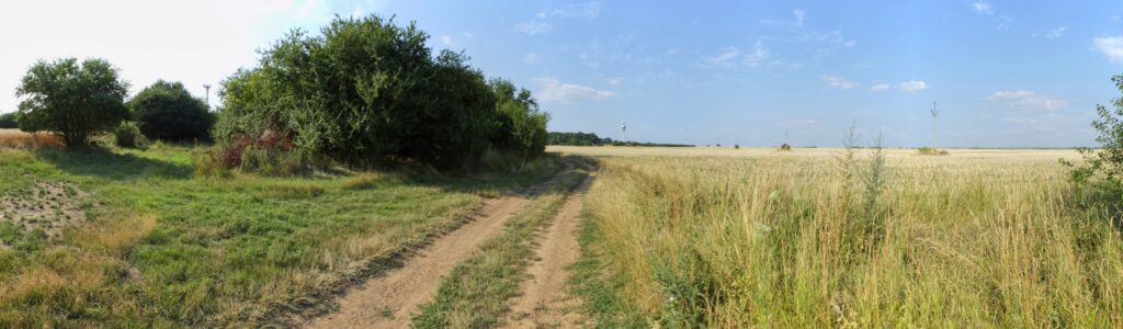 Pri stredisku. Cesta. (r.2021/Canonsp.)