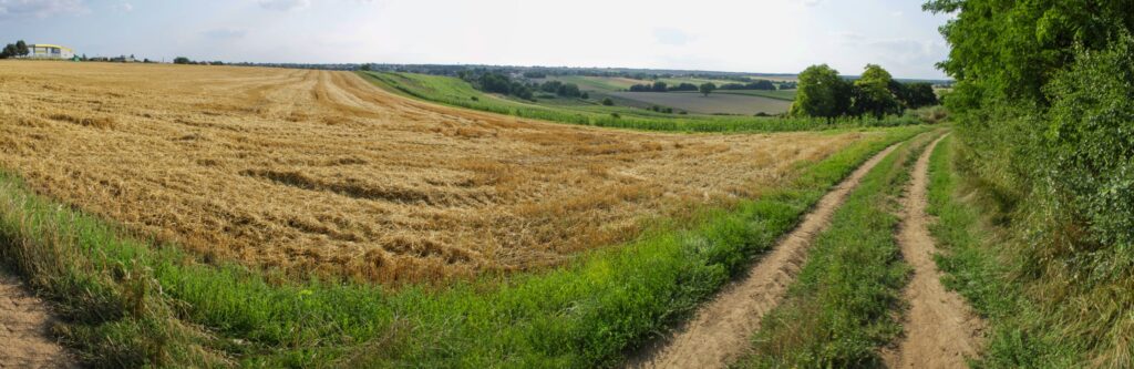 Pri silážke. Rozhľady do krajiny. (r.2021/Canonsp.)