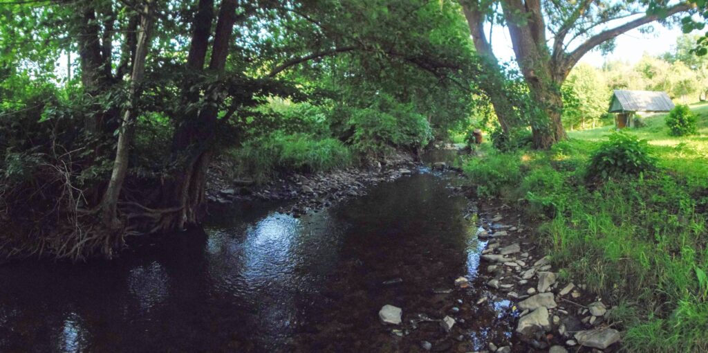 Horná Žitava. Španie chrasti. Koryto riečky. (r.2021/OlympusSP810UZ)
